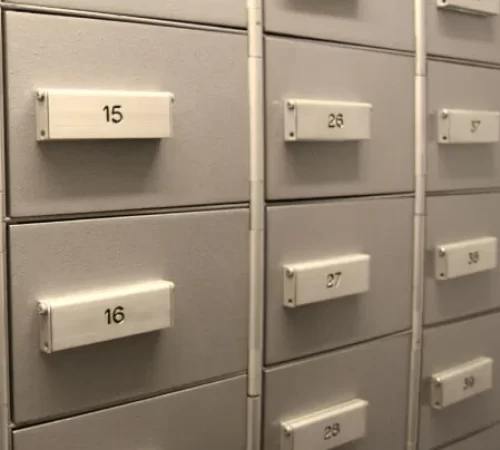 servicio-resguardo-microarchivo